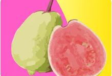 芭乐视频,揭秘热门短视频背后的魅力与影响力